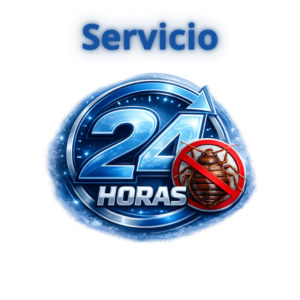 fumigacion de chinches 24 horas